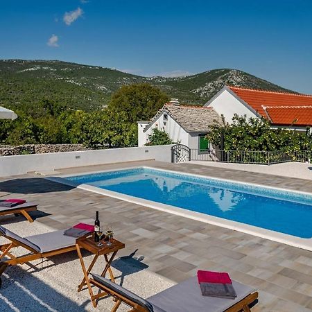 Вилла House Camellia With Fenced Pool And Playground Blizna Donja Экстерьер фото