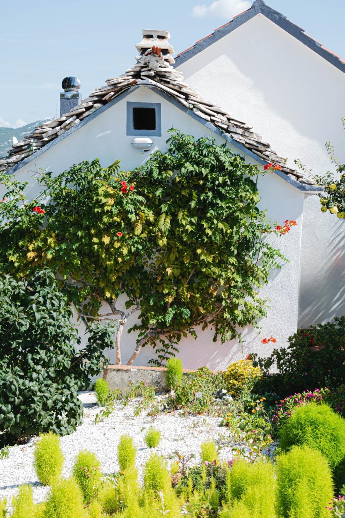 Вилла House Camellia With Fenced Pool And Playground Blizna Donja Экстерьер фото